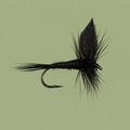 Black Gnat