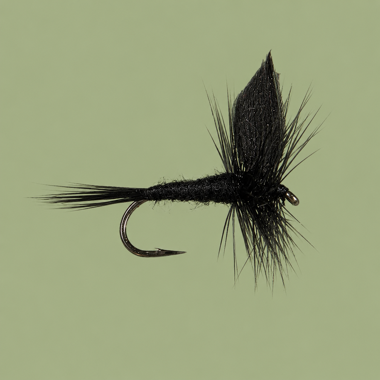Black Gnat