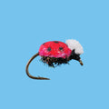 LADY BUG Size 16